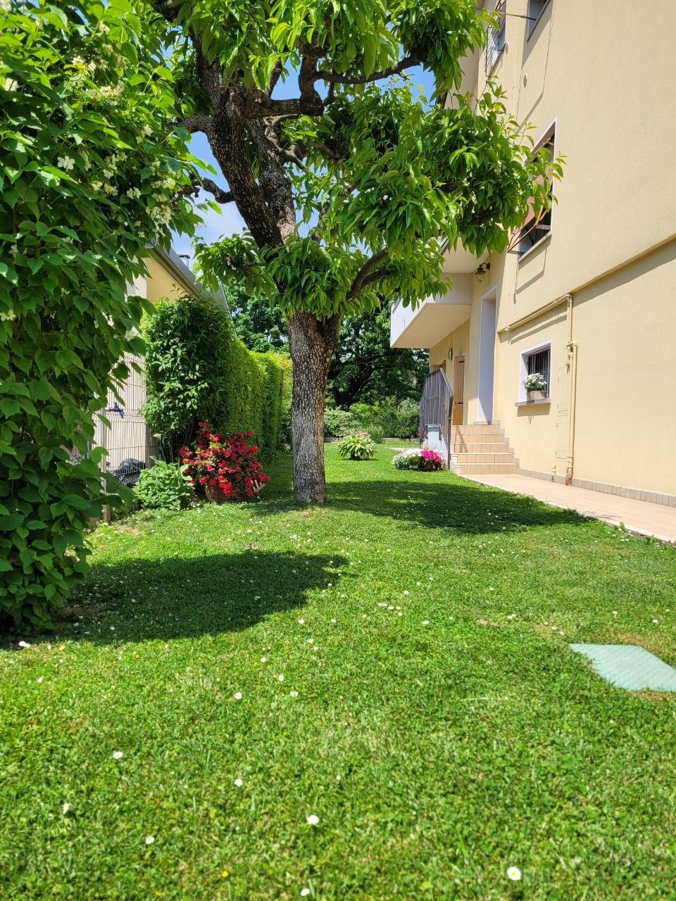 Struttura giardino 3